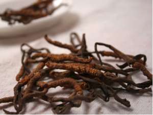 山东枣庄中医药纳入医药卫生重点工程