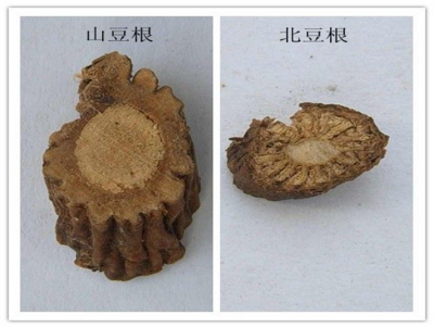自制日常护肤中药面膜