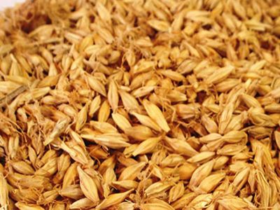 经期吃酸味食品可以滋阴养血吗