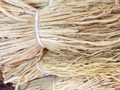 中华中医药学会为青年中医药学者建交流平台
