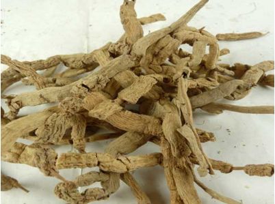 山东省政协与省卫计委协商中医药发展